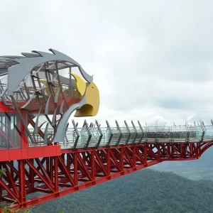 EAGLE NEST SKYWALK COMBO