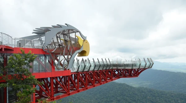EAGLE NEST SKYWALK COMBO