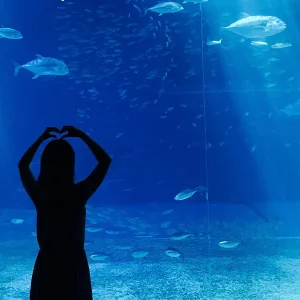 Underwaterworld