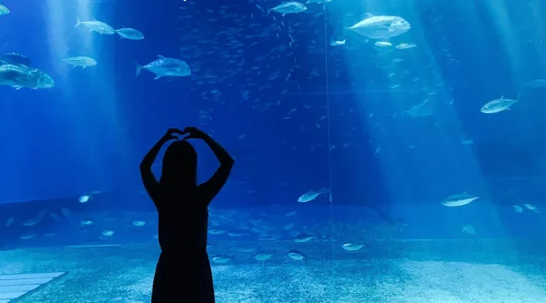Underwaterworld